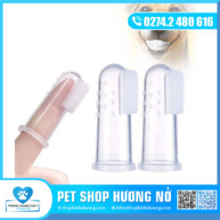 Bàn chải chó