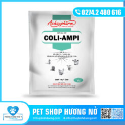Coli-ampi