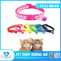 Dây vòng cổ nhỏ (Bêtô)