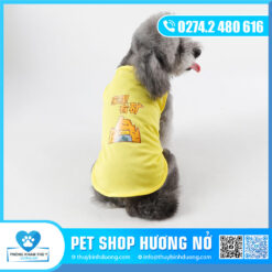 Áo 4 mùa size lớn