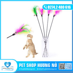 Cây vờn mèo