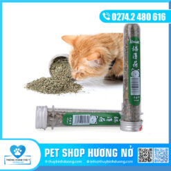Cỏ mèo