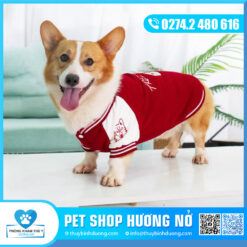 Áo HK số 3