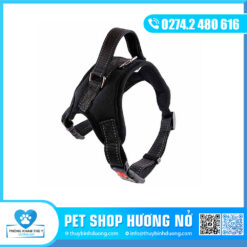 Dây yếm poodle size M