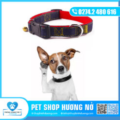 Dây vòng cổ VN trung