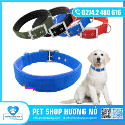 Dây đai VN lớn