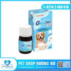 Gastro gel dinh dưỡng