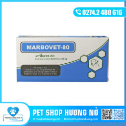 Kháng sinh Marbovet 80