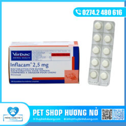 Kháng thể Immupact