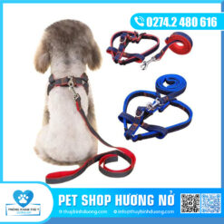Dây dẫn màu nhỏ