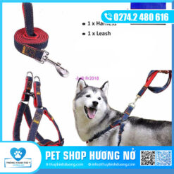 Dây dẫn màu lớn