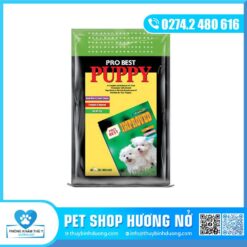 Pro Best Puppy
