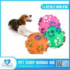 Bóng dấu chân