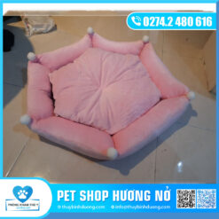 Nệm vuông 250